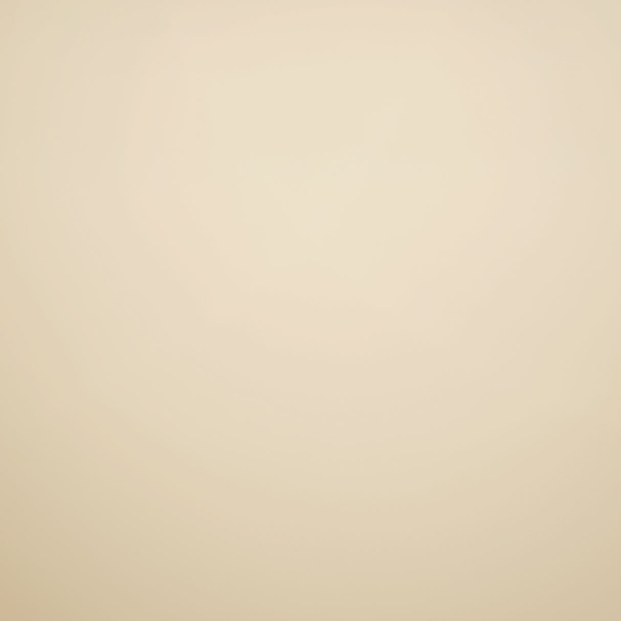 Solid Ivory Solid King Size Bedsheet - Eminence By Spaces