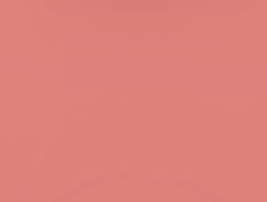 Solid Coral - Coral 100% Cotton King Size Bedsheet - Everyday Essentials By Spaces