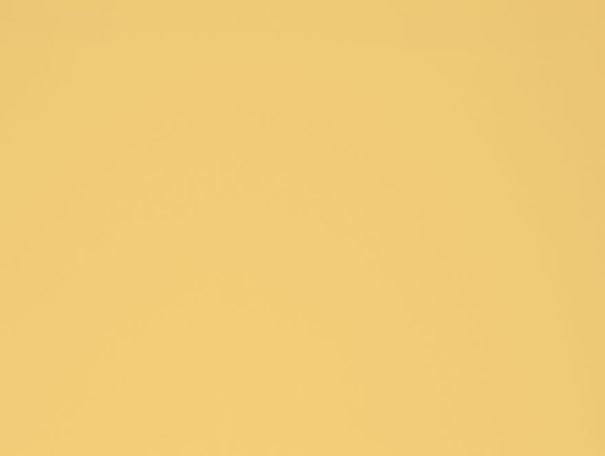 Solid Yellow 100% Cotton King Size Bedsheet - Essentials by Spaces