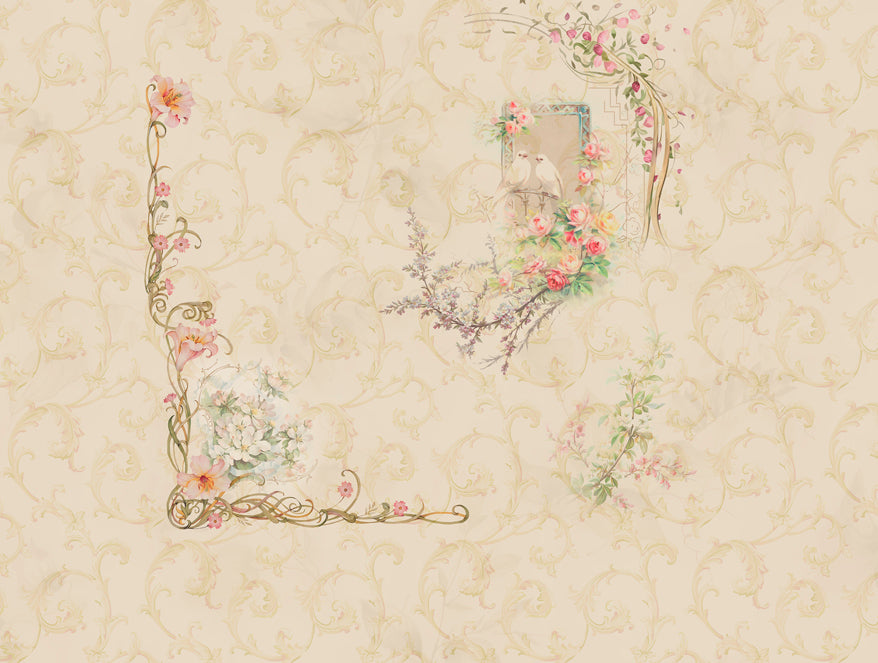 Organic Cotton Double Quilt, 180 TC, Oranate, Cream