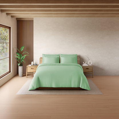 Solid Light Green Solid King Size Bedsheet - Eminence By Spaces