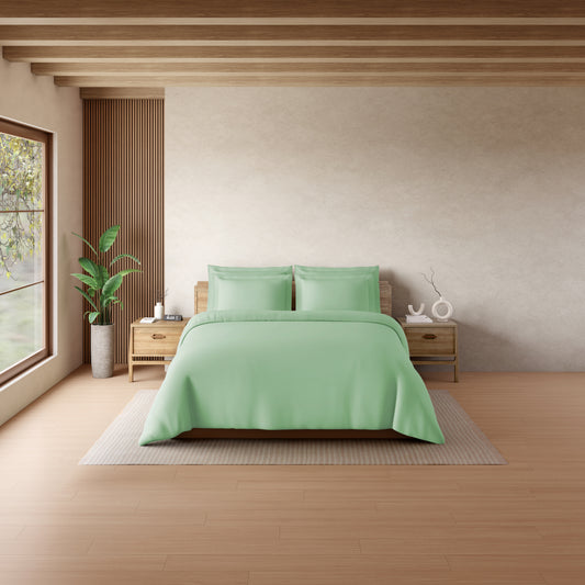 Solid Light Green Solid King Size Bedsheet - Eminence By Spaces