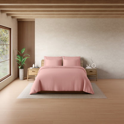 Solid Blush Solid King Size Bedsheet - Eminence By Spaces