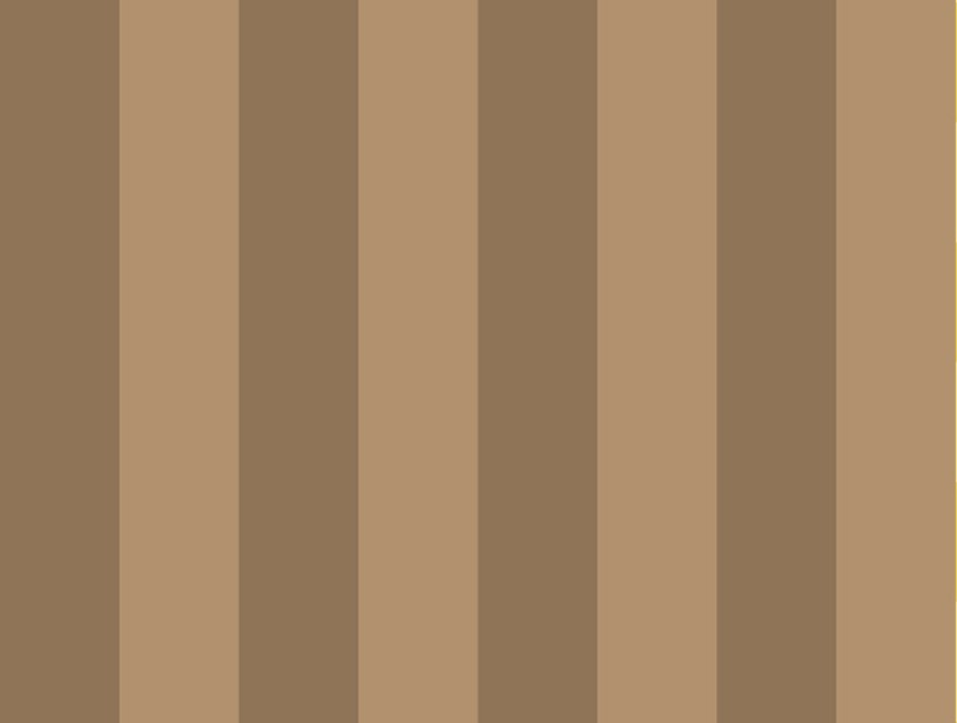 Skyrise 100% Cotton Bedsheets Single