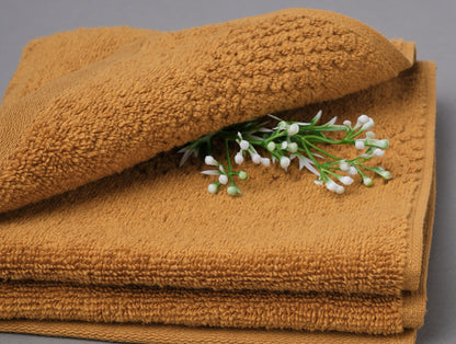 Maple Sugar - Light Brown 2 Piece 100% Cotton Hand Towel - Hygro By Spaces