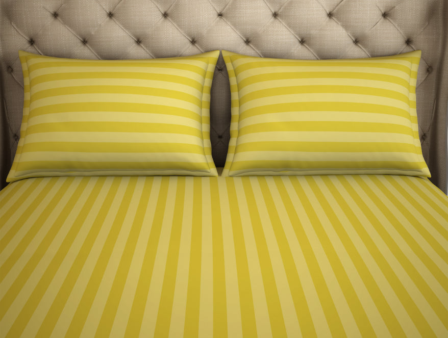 Skyrise 100% Cotton Queen Size Fitted Sheet