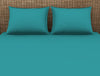 Teal 100% Cotton Large Bedsheet - Essentials By Spaces