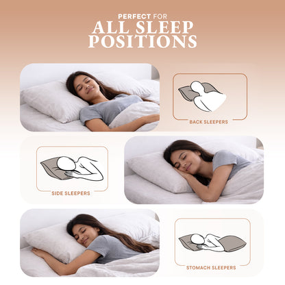 Solid White Quilted Pillows (Pack of 2) by Spaces
