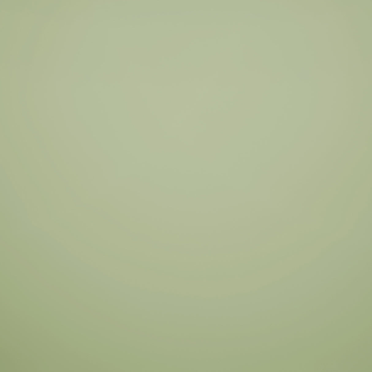 Solid Light Green Solid King Size Bedsheet - Eminence By Spaces