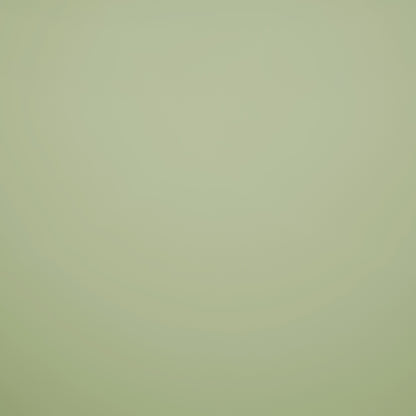 Solid Light Green Solid King Size Bedsheet - Eminence By Spaces