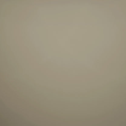 Solid Light Grey Solid King Size Bedsheet - Eminence By Spaces