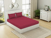 Solid Red 100% Cotton King Size Bedsheet - Everyday Essentials By Spaces