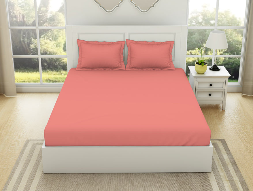 Solid Coral - Coral 100% Cotton King Size Bedsheet - Everyday Essentials By Spaces