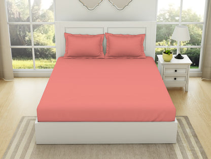 Solid Coral - Coral 100% Cotton King Size Bedsheet - Everyday Essentials By Spaces