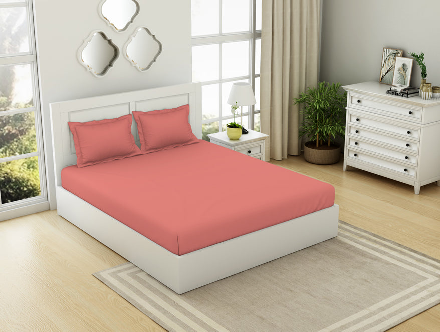 Solid Coral - Coral 100% Cotton King Size Bedsheet - Everyday Essentials By Spaces