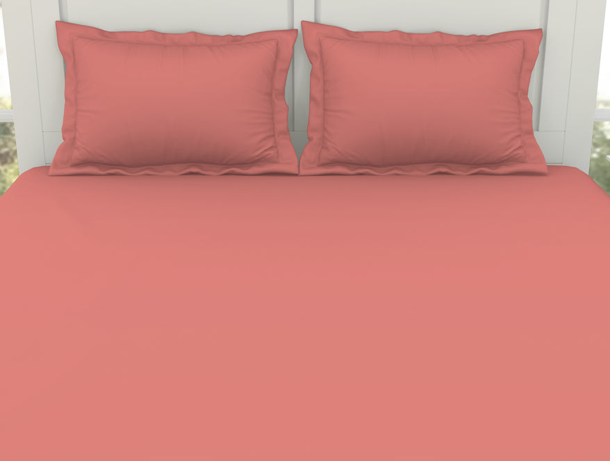 Solid Coral - Coral 100% Cotton King Size Bedsheet - Everyday Essentials By Spaces