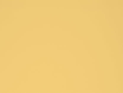 Solid Yellow 100% Cotton King Size Bedsheet - Essentials by Spaces