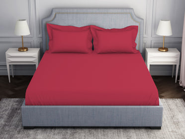 Solid Dark Red 100% Cotton Fitted Queen - Essentials by Spaces