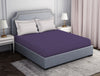 Tonalelgence Ornate Light Violet 100% Cotton King Size Bedsheet - Essentials by Spaces