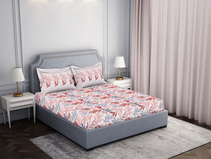 Parfait Pink 100% Cotton Double Bedsheet - Atrium by Spaces