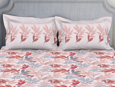 Parfait Pink 100% Cotton Double Bedsheet - Atrium by Spaces