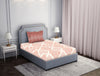 Papaya Punch 100% Cotton Single Bedsheet - Atrium By Spaces