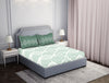 Aqua 100% Cotton Fitted Elastic Bedsheet - Atrium by Spaces