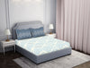 Light Blue 100% Cotton Fitted Elastic Bedsheet - Atrium by Spaces