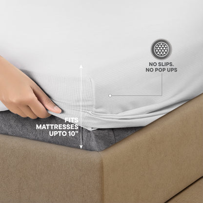 Zephyr 100% Cotton Fitted Queen Bedsheet, 233 TC, Solid, White