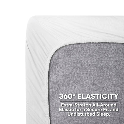 Zephyr 100% Cotton Fitted Queen Bedsheet, 233 TC, Solid, White