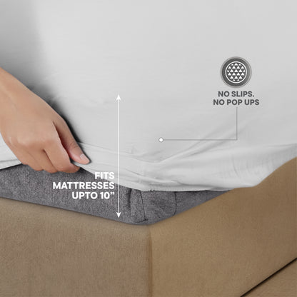 Arden 100% Cotton Fitted Queen Bedsheet, 220 TC, Solid, White