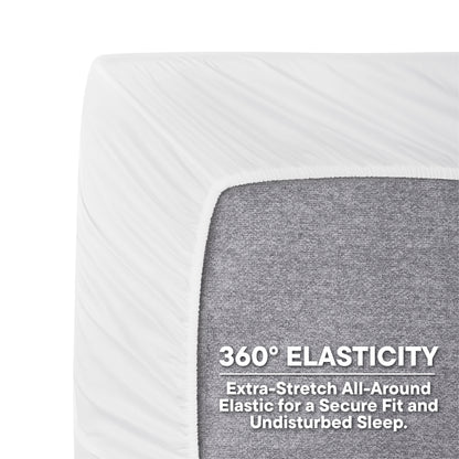 Arden 100% Cotton Fitted Queen Bedsheet, 220 TC, Solid, White