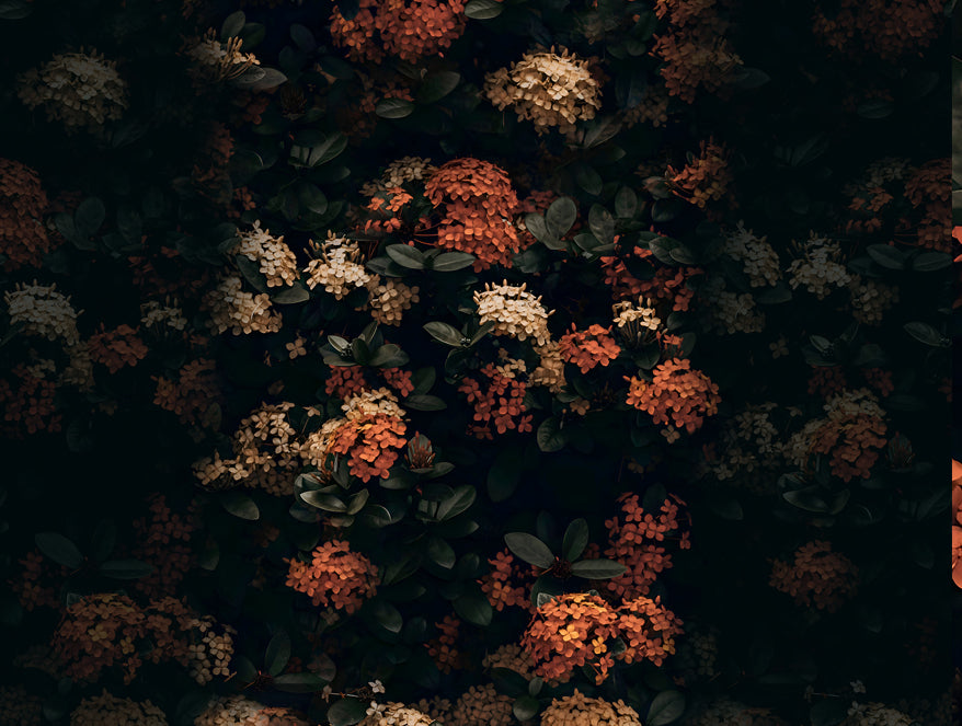 Elegance Noir 100% Cotton Large Bedsheet, 210TC, Floral, Dark Green