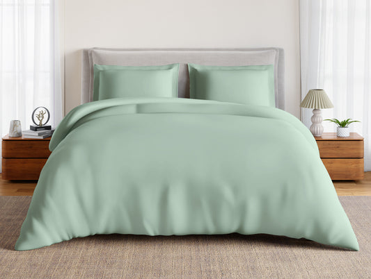 Essentials 100% Cotton Large Bedsheet, 170 TC, Solid, Light Green