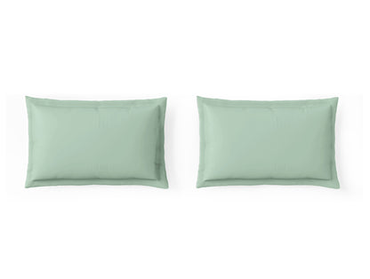 Essentials 100% Cotton Large Bedsheet, 170 TC, Solid, Light Green