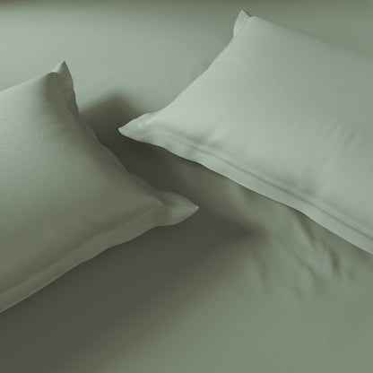 Essentials 100% Cotton Fitted King Bedsheet, 170 TC, Solid, Green