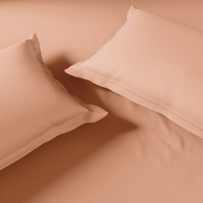 Essentials 100% Cotton Fitted King Bedsheet, 170 TC, Solid, Light Orange