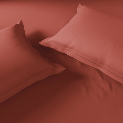 Essentials 100% Cotton Fitted Queen Bedsheet, 170 TC, Solid, Brown