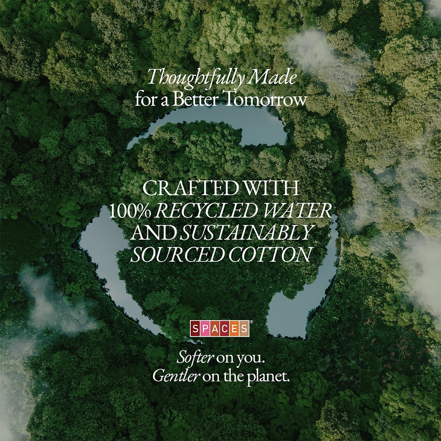 Essentials 100% Cotton Fitted Queen Bedsheet, 170 TC, Solid, Brown