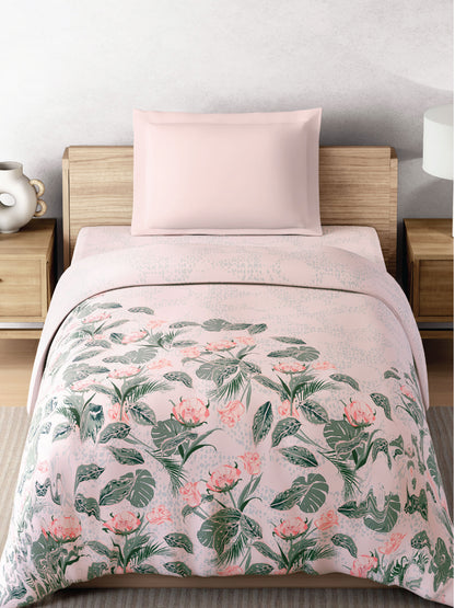 Zera Hygro Cotton 233 TC Percale Floral Single Quilt, Blush