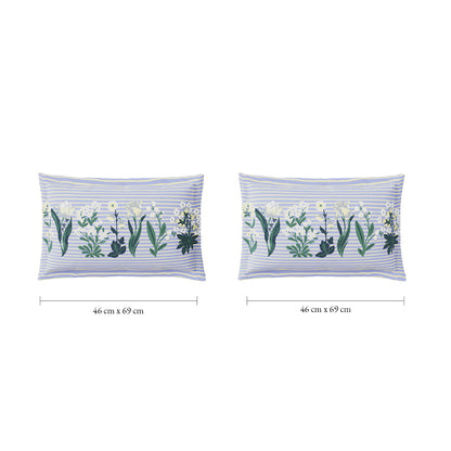 Spaces Flora 100% Cotton 144 TC Percale Floral Double Bedsheet with 2 Pillow Covers, Light Blue