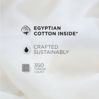 Spaces Nora Luminous Reverie 100% Egyptain Cotton 350 TC Sateen Abstract Permium Large Bedsheet with 4 Pillow Covers, Light Pink