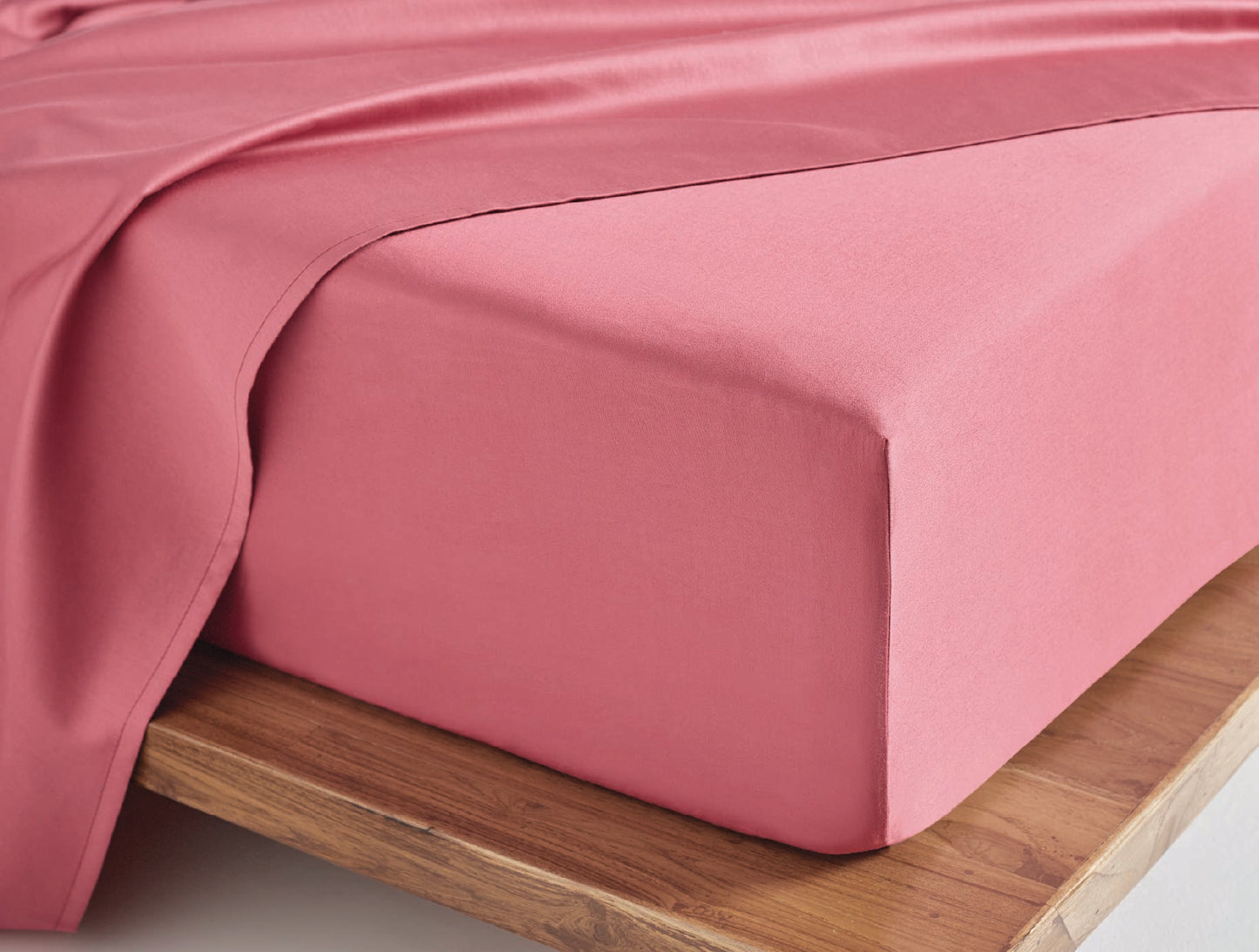 Spaces Aven Rose Solid 100% Cotton 210 TC Large Bedsheet with 2 Pillow Covers - 108 x 108 Inches