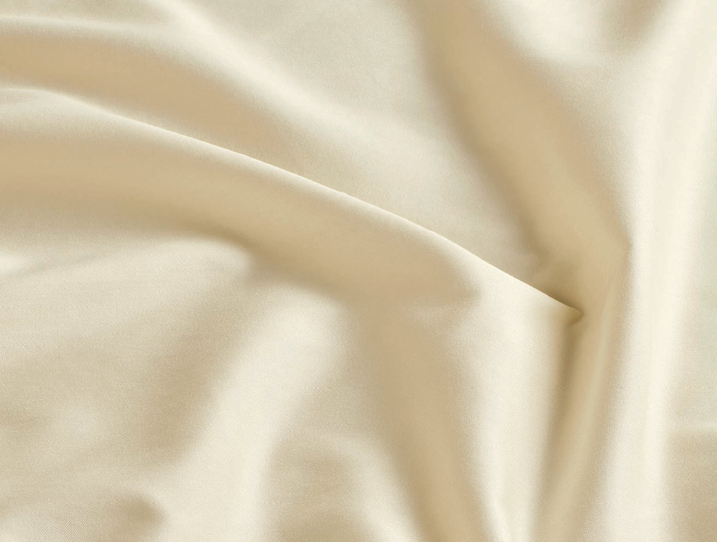 Spaces Aven Ivory Solid 100% Cotton 210 TC Large Bedsheet with 2 Pillow Covers - 108 x 108 Inches