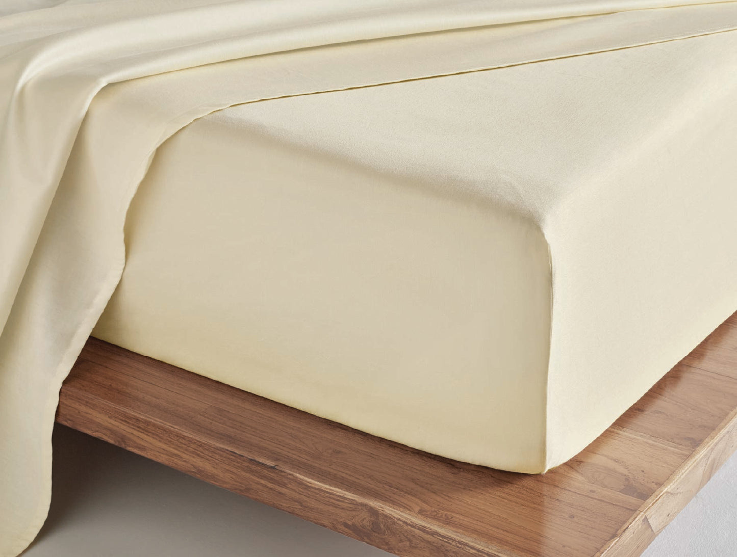 Spaces Aven Ivory Solid 100% Cotton 210 TC Large Bedsheet with 2 Pillow Covers - 108 x 108 Inches