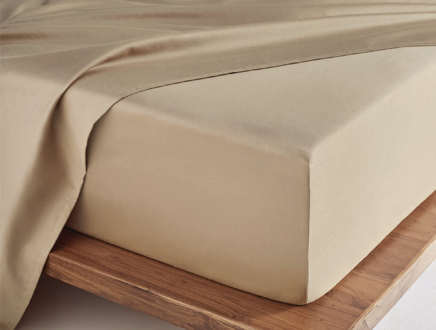 Spaces Aven Brown Solid 100% Cotton 210 TC Large Bedsheet with 2 Pillow Covers - 108 x 108 Inches