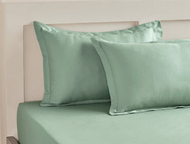 Spaces Aven Sage Solid 100% Cotton 210 TC King Fitted Sheet with 2 Pillow Covers – 72 x 78 Inch, 12 Inch Deep Pocket