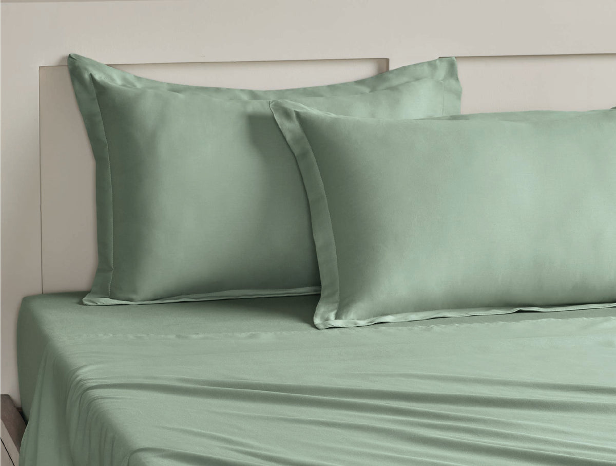 Spaces Aven Sage Solid 100% Cotton 210 TC King Fitted Sheet with 2 Pillow Covers – 60 x 78 Inch, 12 Inch Deep Pocket