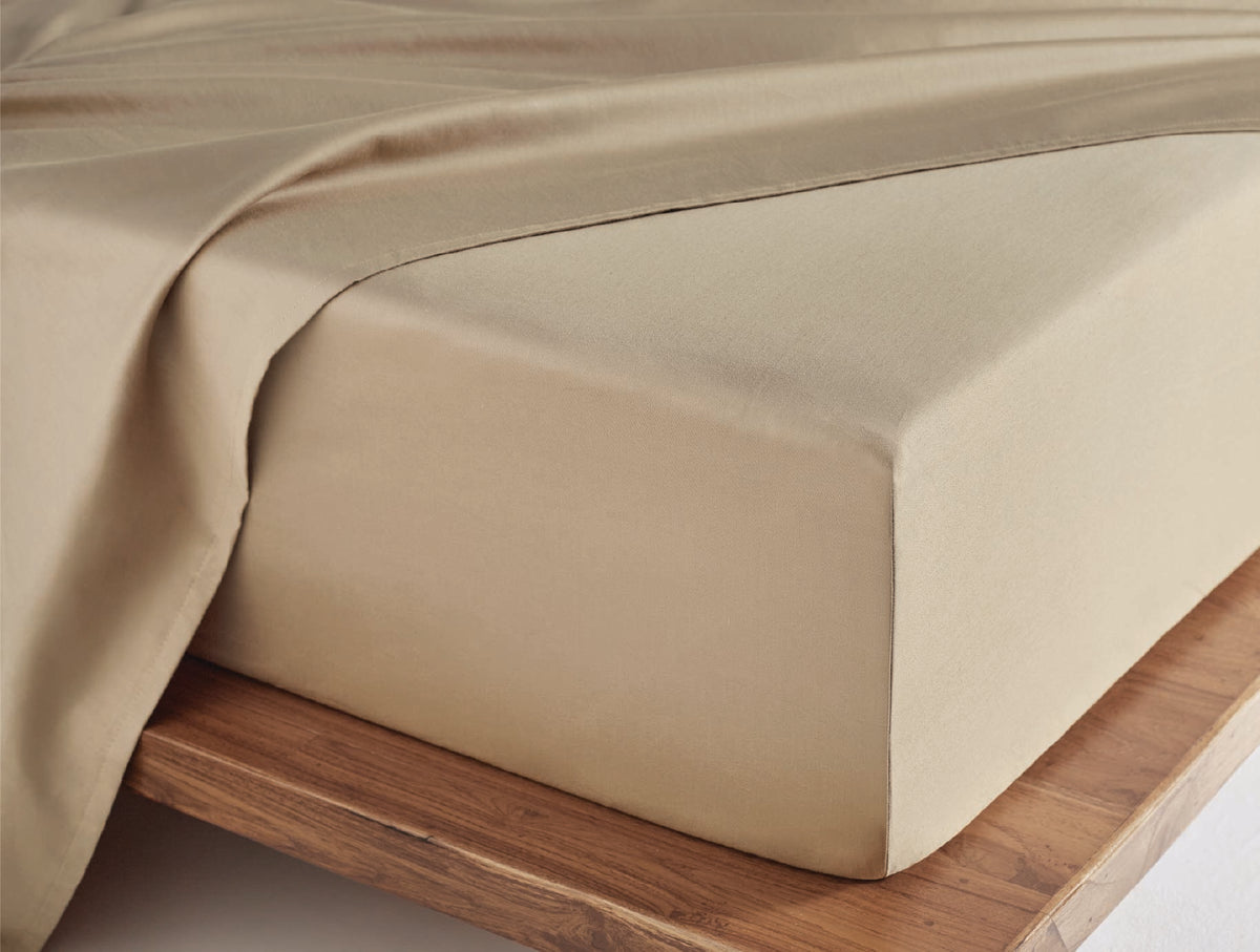 Spaces Aven Brown Solid 100% Cotton 210 TC King Fitted Sheet with 2 Pillow Covers – 60 x 78 Inch, 12 Inch Deep Pocket
