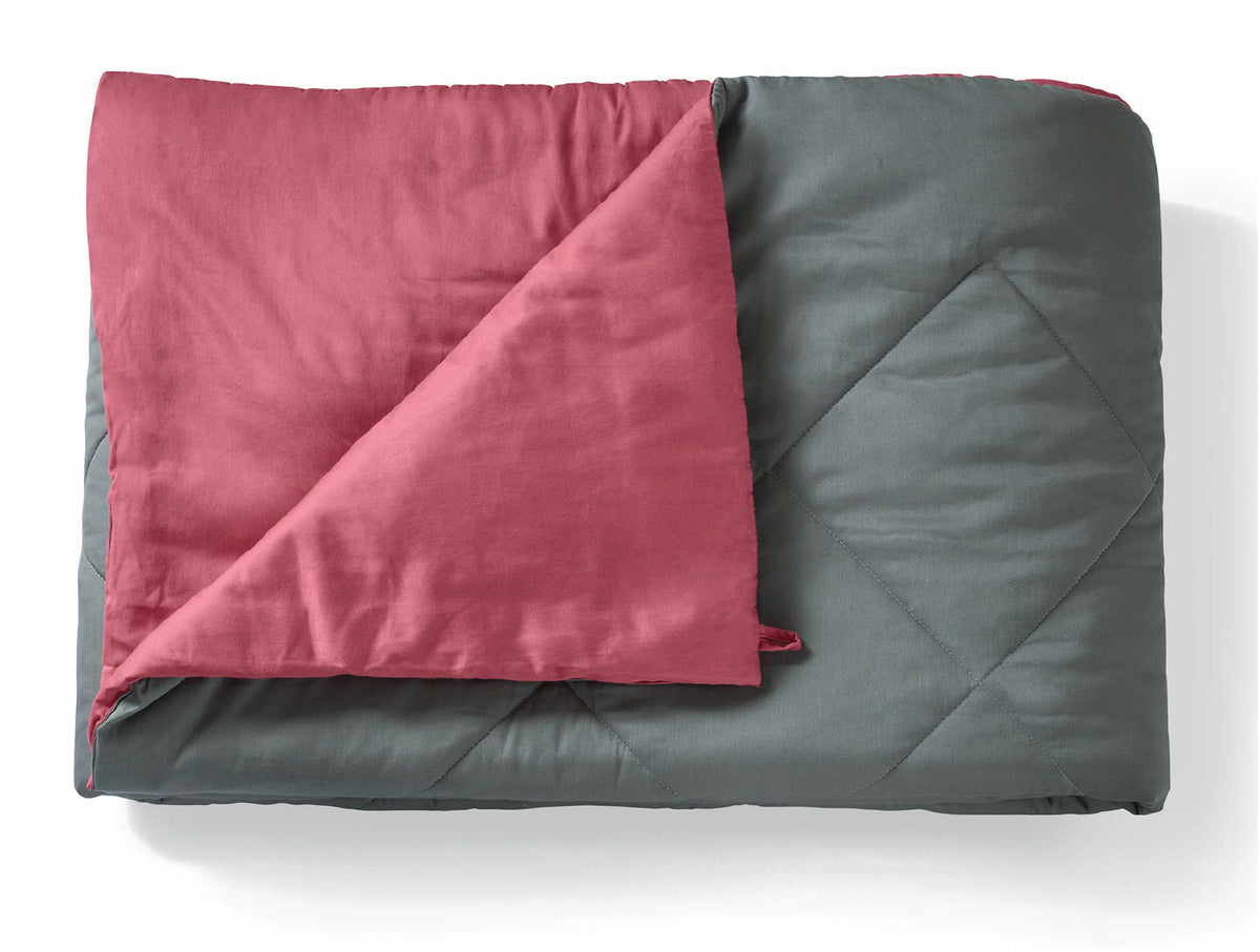 Spaces Aven Grey Solid 100% Cotton 210 TC Double Quilt - 88 x 106 Inches